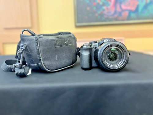 Panasonic lumix dmc fz200 - lumix, dmc-fz200