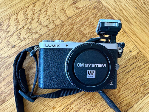 Panasonic lumix dmc gm1 - panasonic,